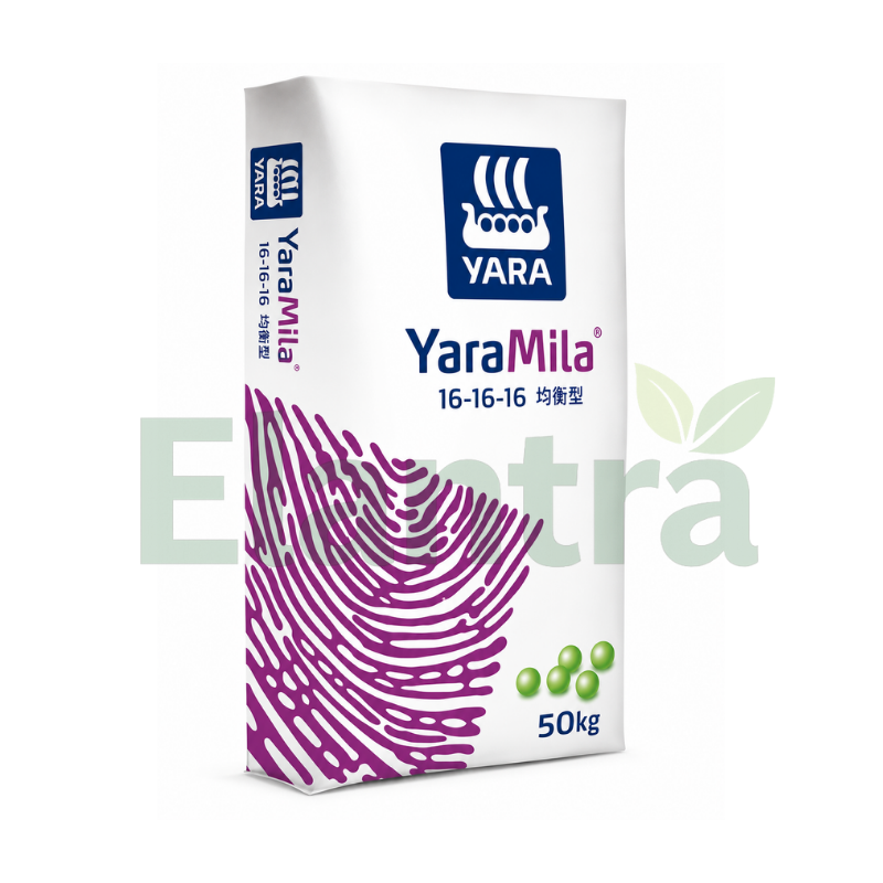 YARA 16-16-16